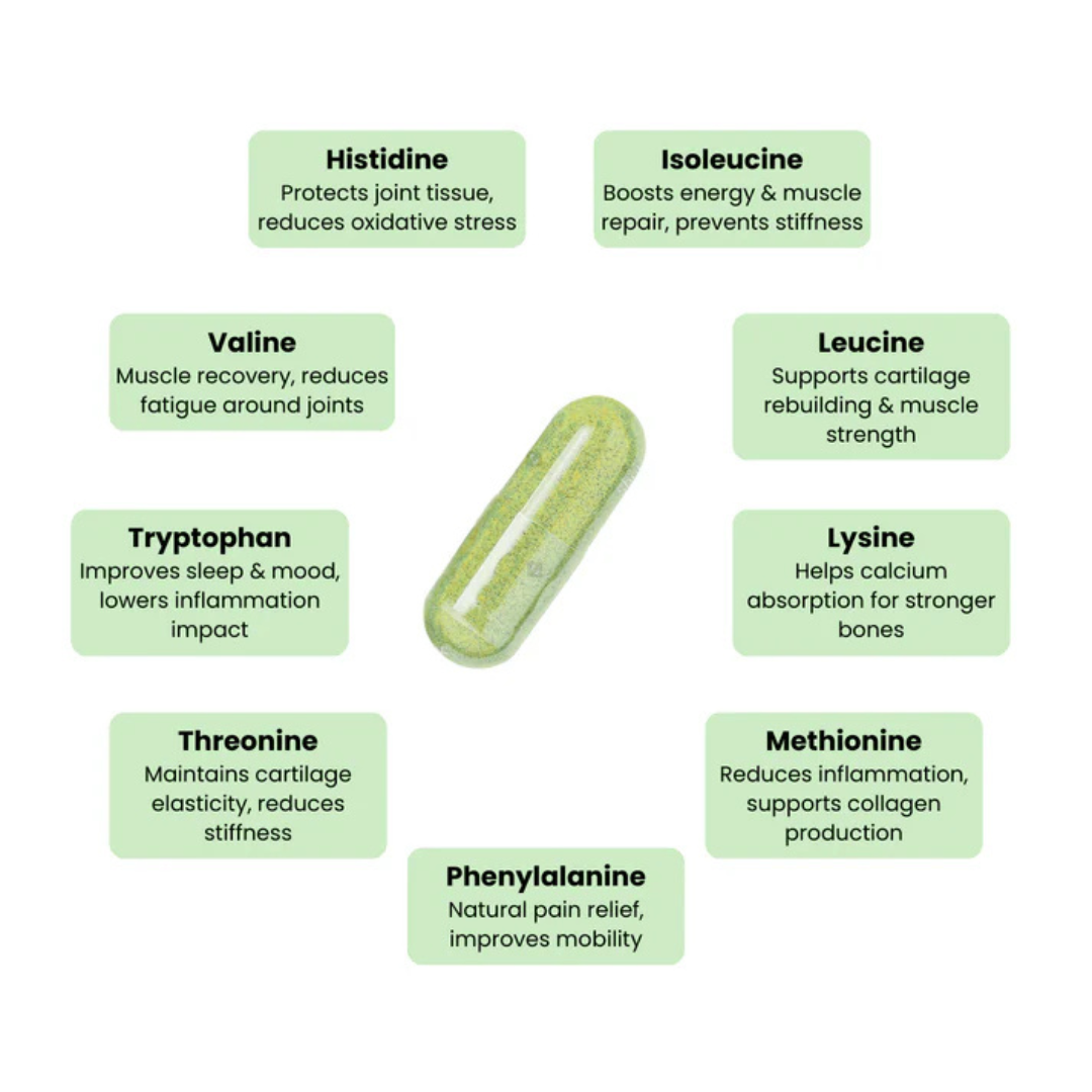Eluva Pure Life Moringa