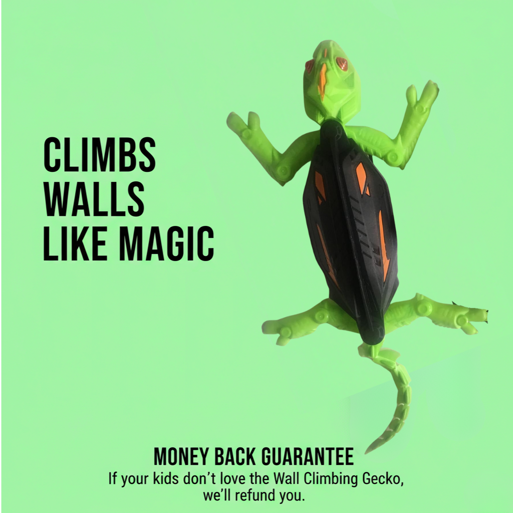 Wall Climbing Gecko