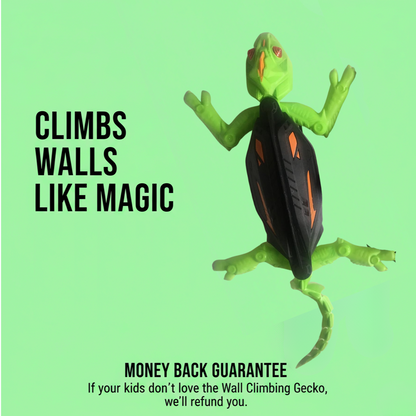 Wall Climbing Gecko