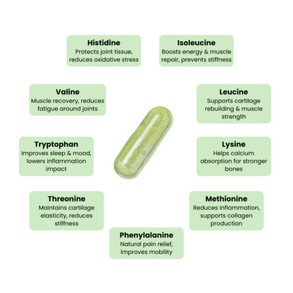 Eluva Pure Life Moringa